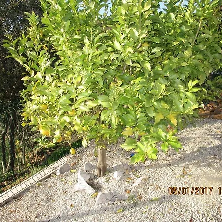 Holiday Val Vigoria Holiday home