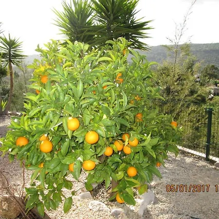 Holiday home Holiday Val Vigoria Alte